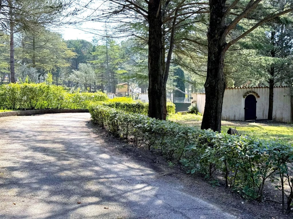 House in Palaja - Image 3