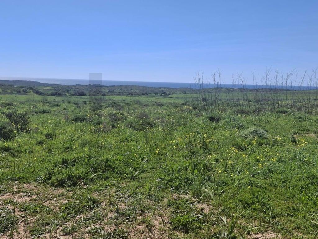 Land in Raposeira - Image 2