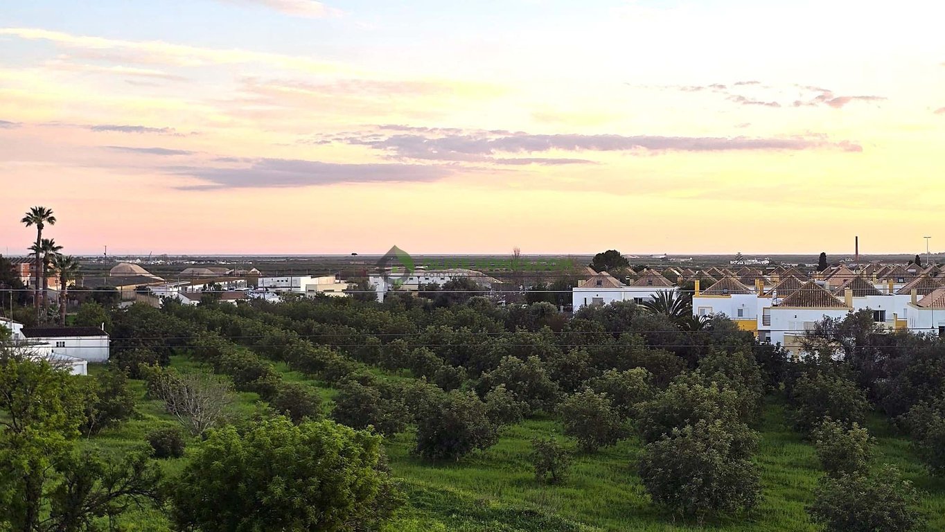 Villa in Tavira - Image 3