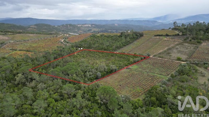 Land in Condeixa-a-Velha - view 1