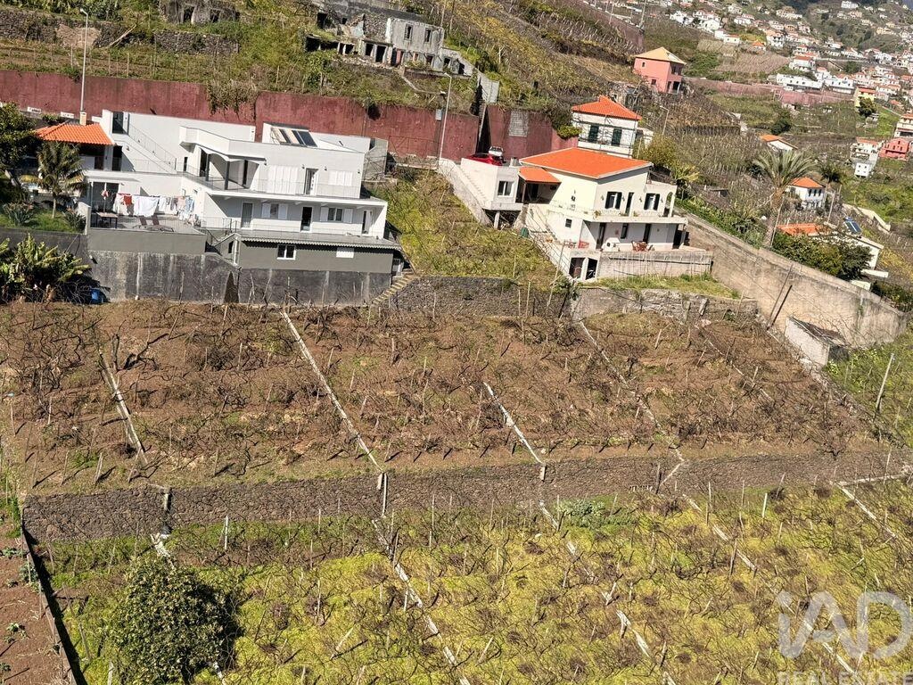 Land in Estreito de Camara de Lobos - Image 2