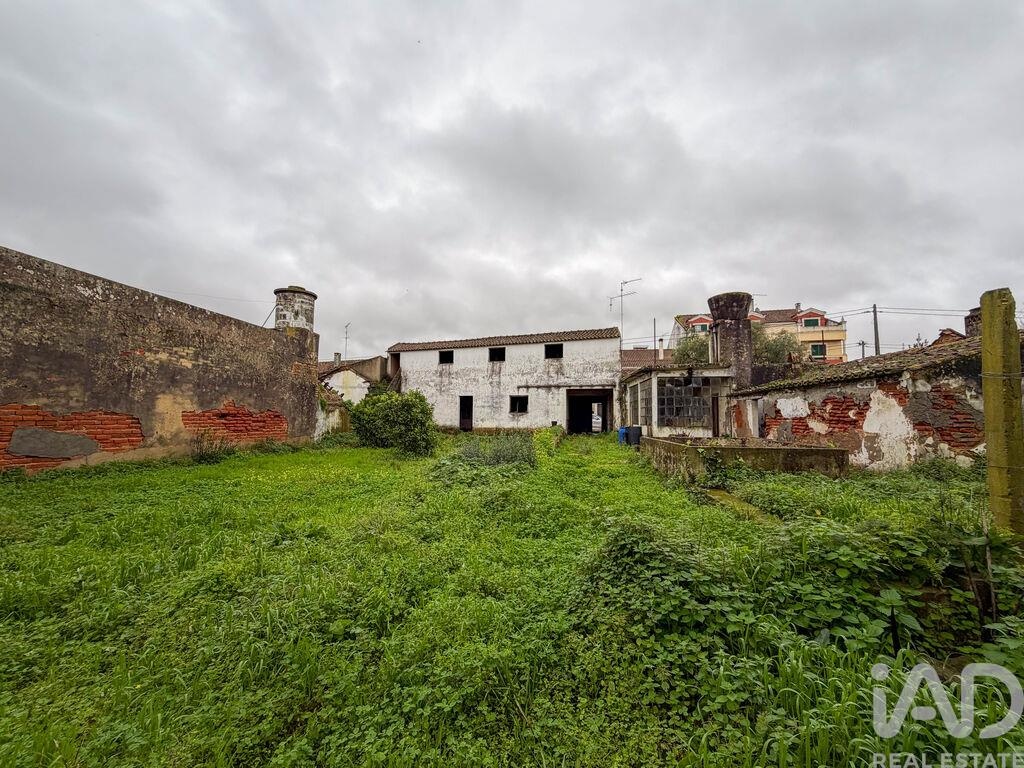 House in Benfica do Ribatejo - Image 2