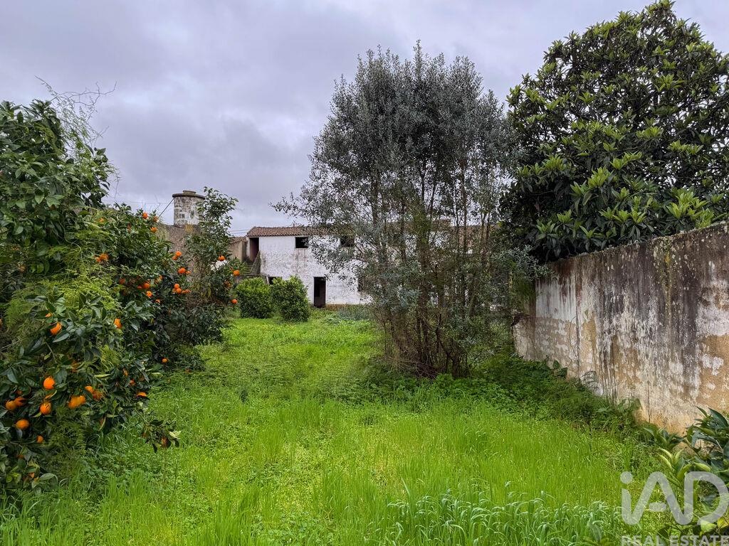 House in Benfica do Ribatejo - Image 3