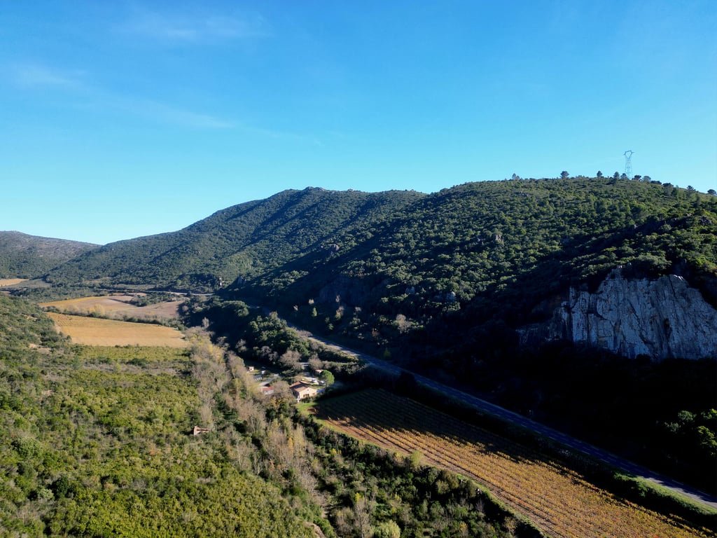 House in Cessenon-sur-Orb - Image 2
