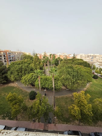 Apartment in Torrevieja - view 1