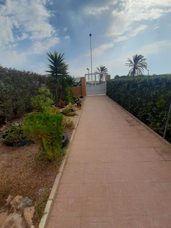 House in Torrevieja - Image 3