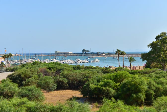 Apartment in Torrevieja - view 1