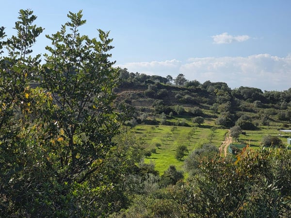 Land in Porches - view 1