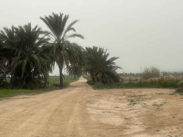 Land in El Realengo - view 1