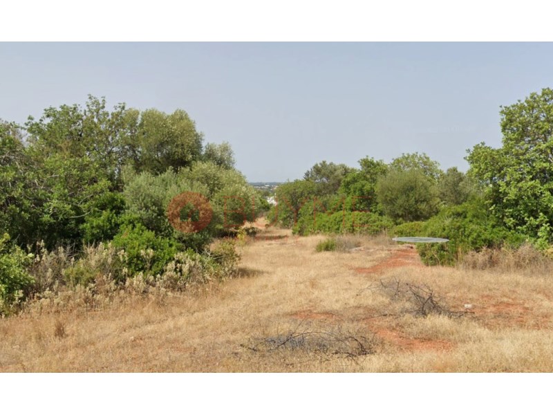 House in Santa Barbara de Nexe - Image 3