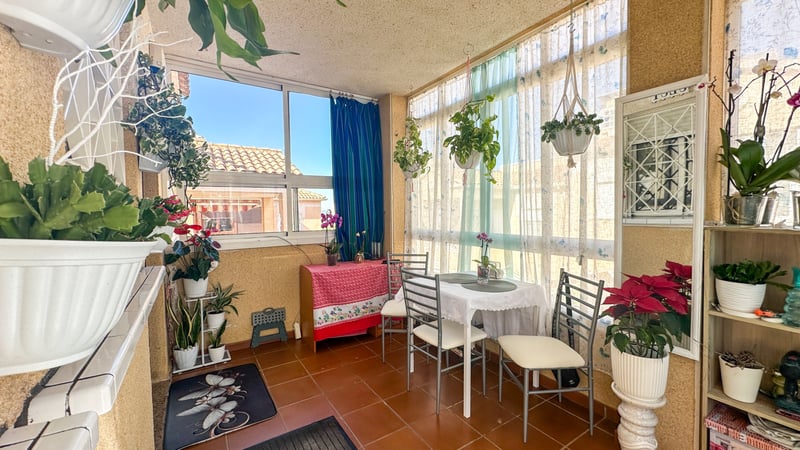 Apartment in Torrevieja - view 1