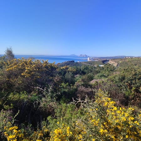 Land in Rias - view 1