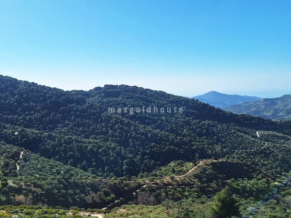 Farm, Ranch or Equestrian in Canillas de Albaida - view 1