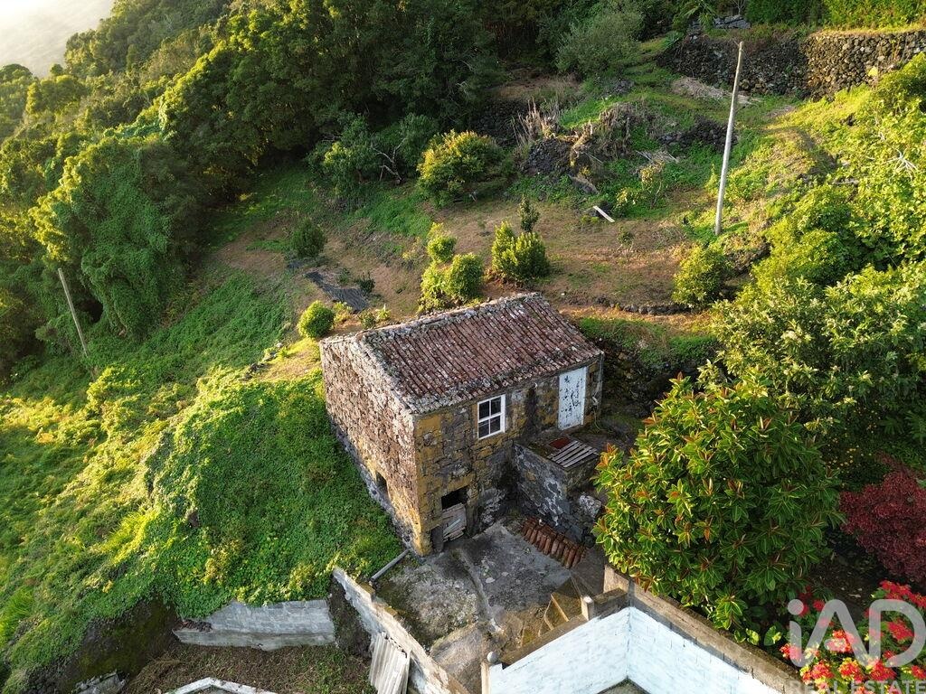 Land in Ribeiras - Image 3