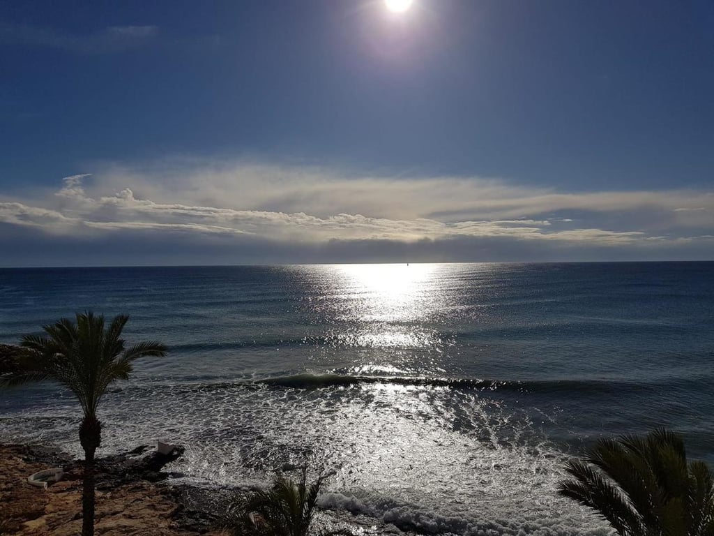 Apartment in Torrevieja - Image 3