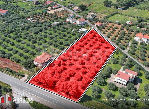 Land in Avlon - view 1