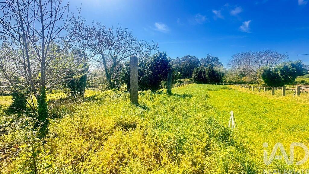 Land in Santa Marta de Portuzelo - Image 2