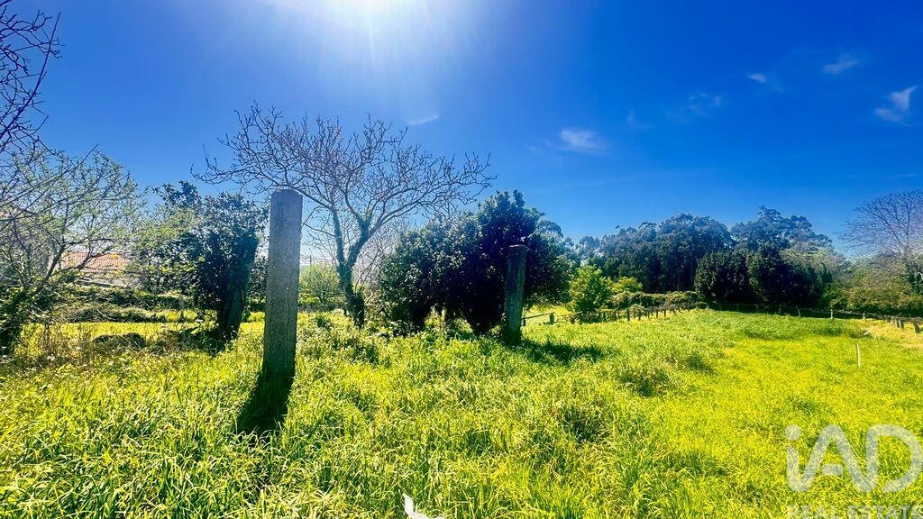 Land in Santa Marta de Portuzelo - Image 3