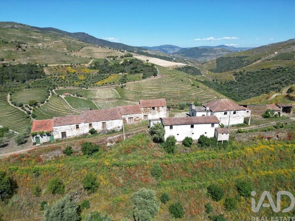 House in Ervedosa do Douro - view 1