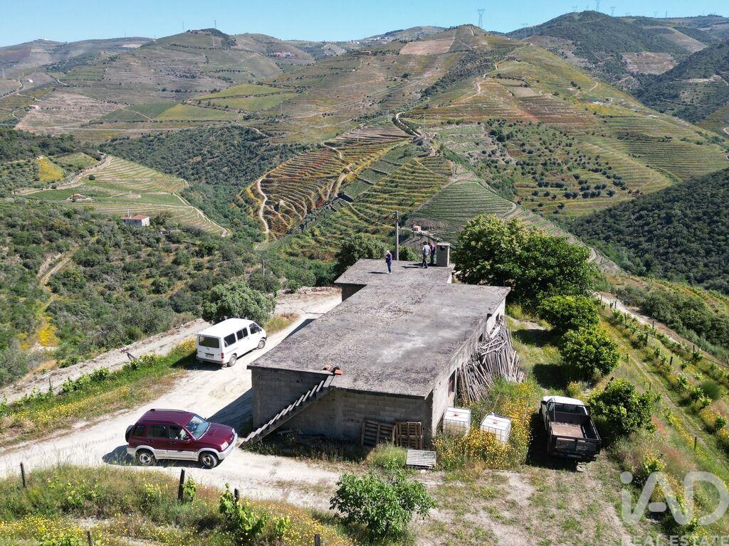House in Ervedosa do Douro - Image 3