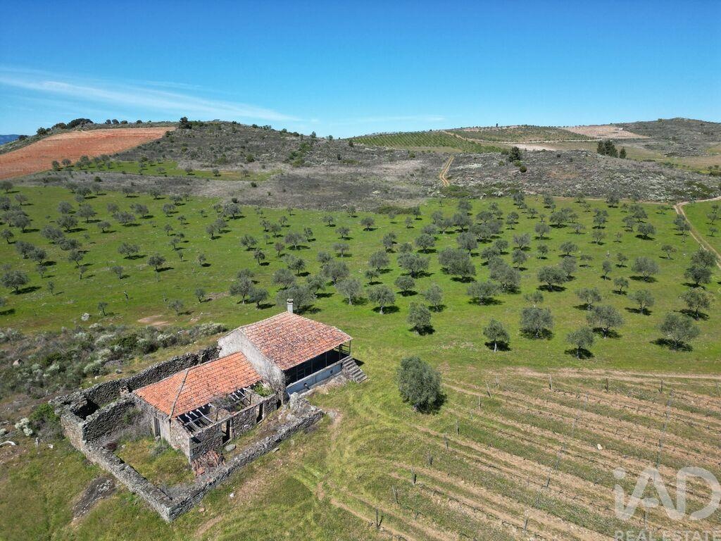 House in Vilarinho das Azenhas - Image 3