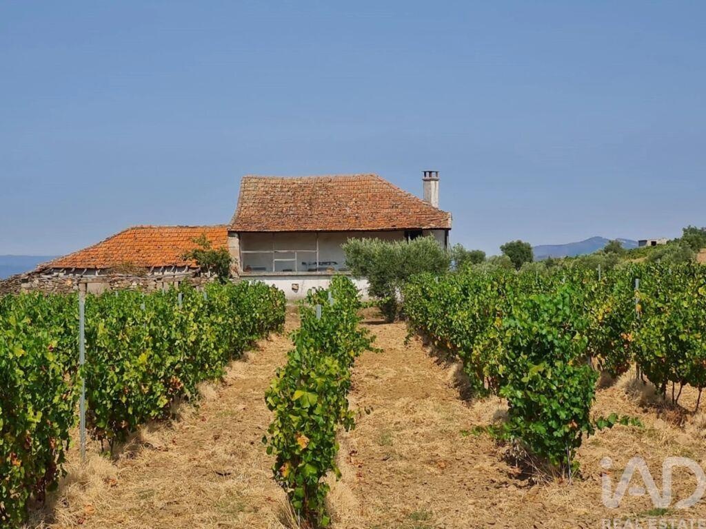 House in Vilarinho das Azenhas - Image 2