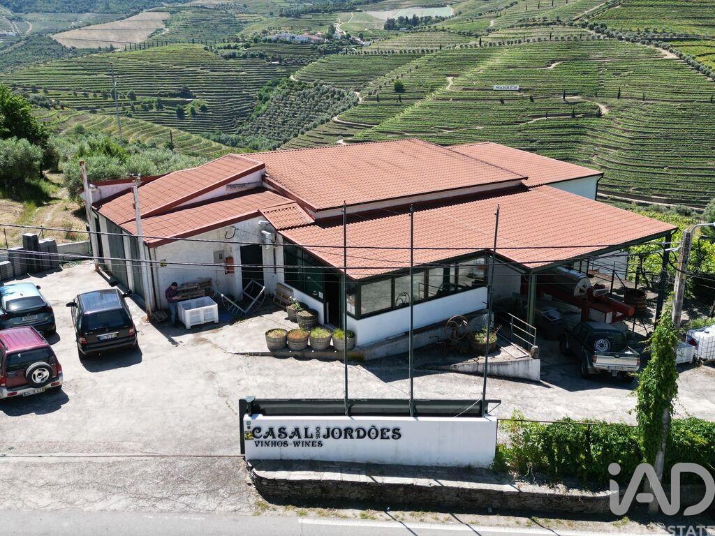 House in Ervedosa do Douro