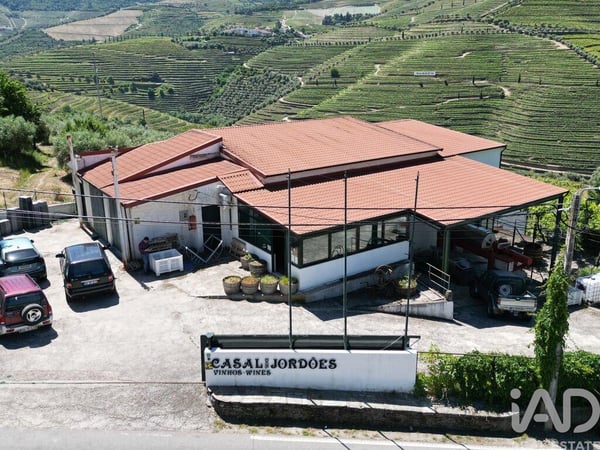 House in Ervedosa do Douro - view 1