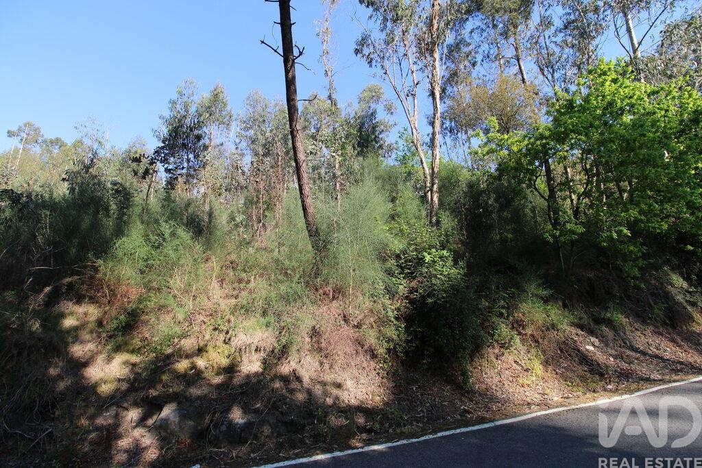 Land in Lemenhe - Image 3