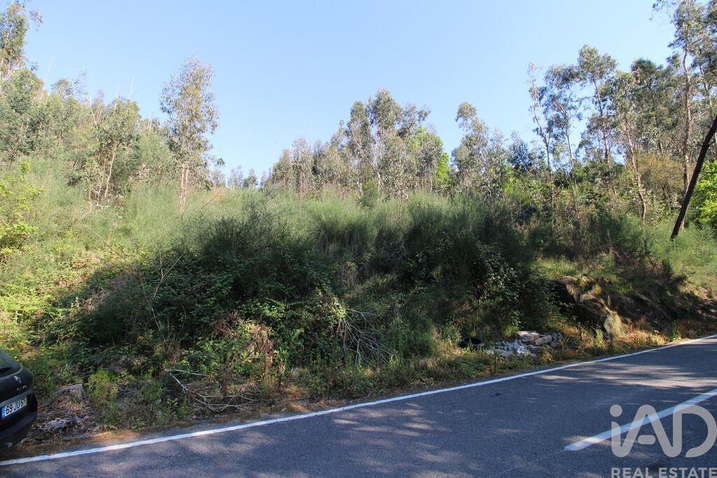 Land in Lemenhe - Image 2