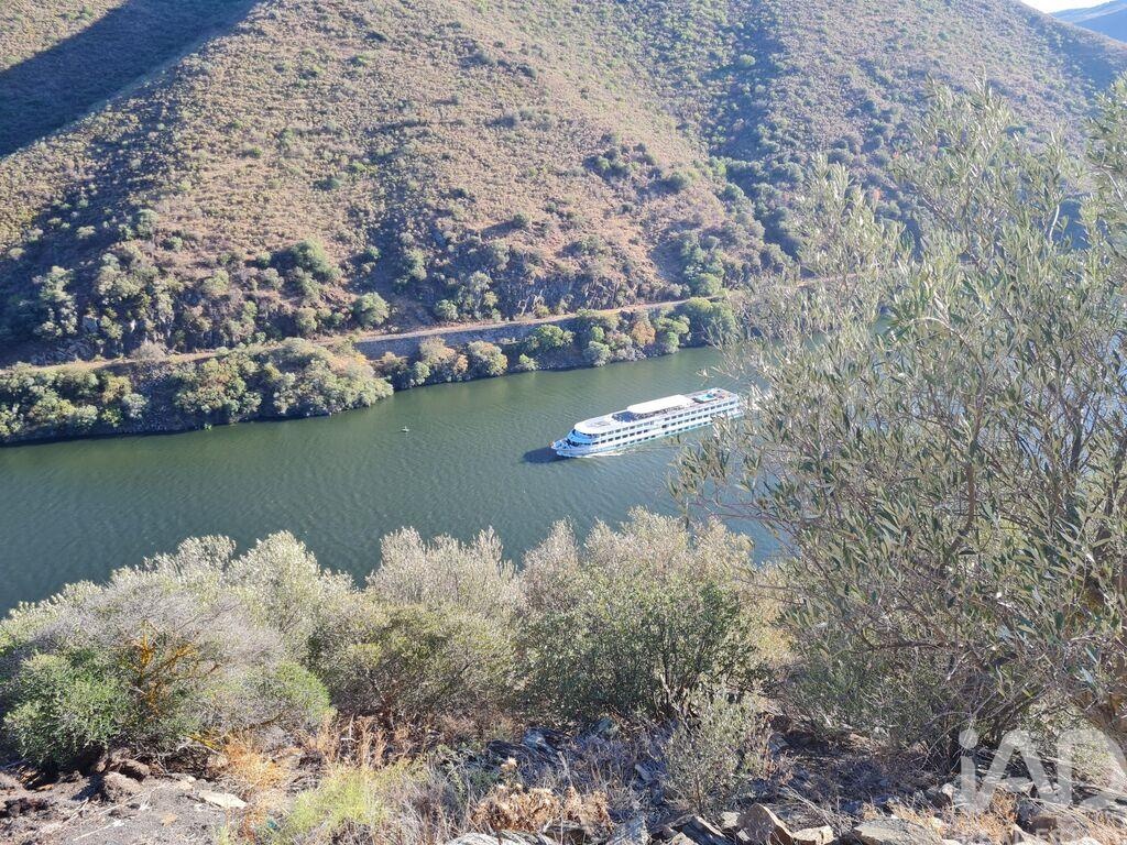 Land in Peredo Dos Castelhanos - Image 2