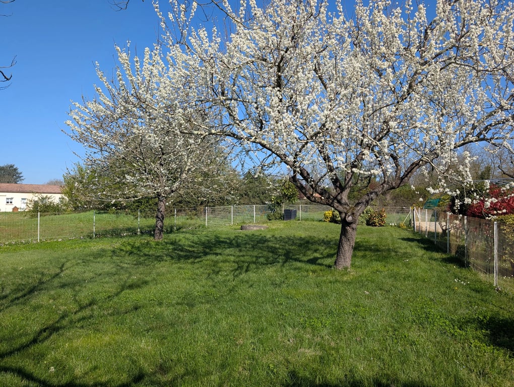 House in Villeneuve-sur-Lot - Image 2