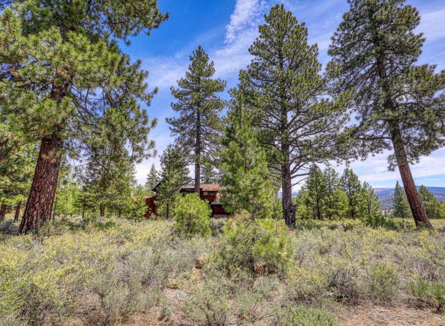House in Truckee