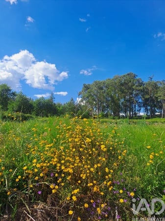 Land in Bostelo - view 1