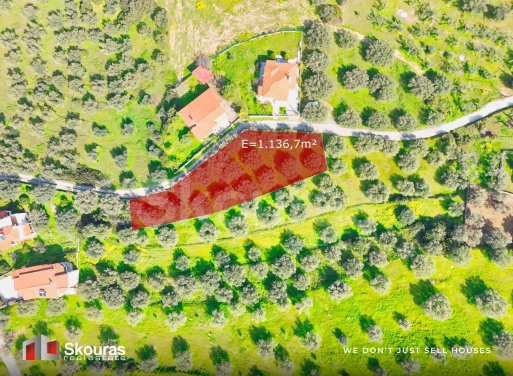 Land in Ampelos - Image 3