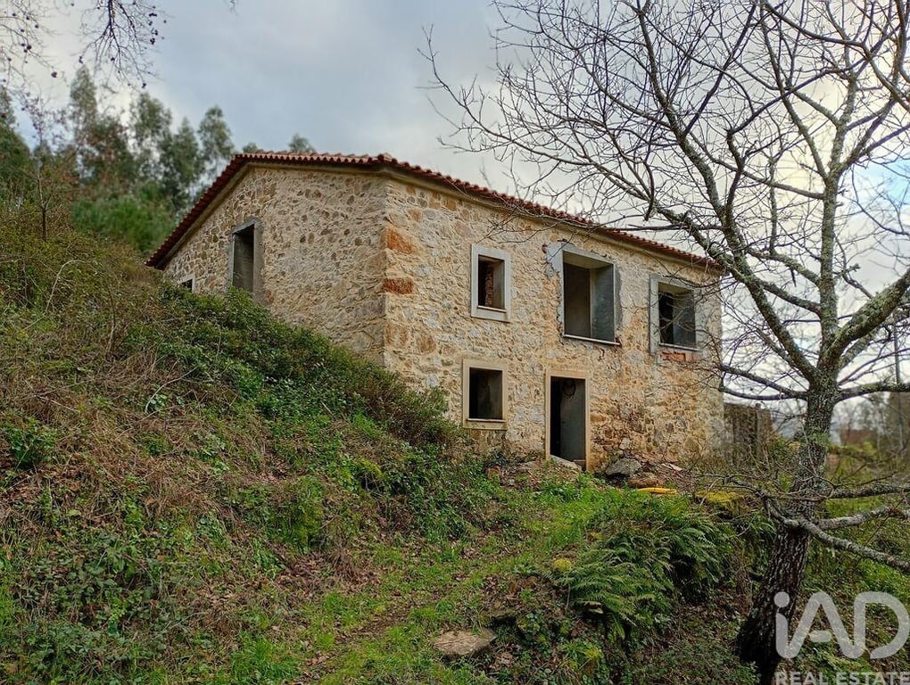 House in Figueiro Dos Vinhos