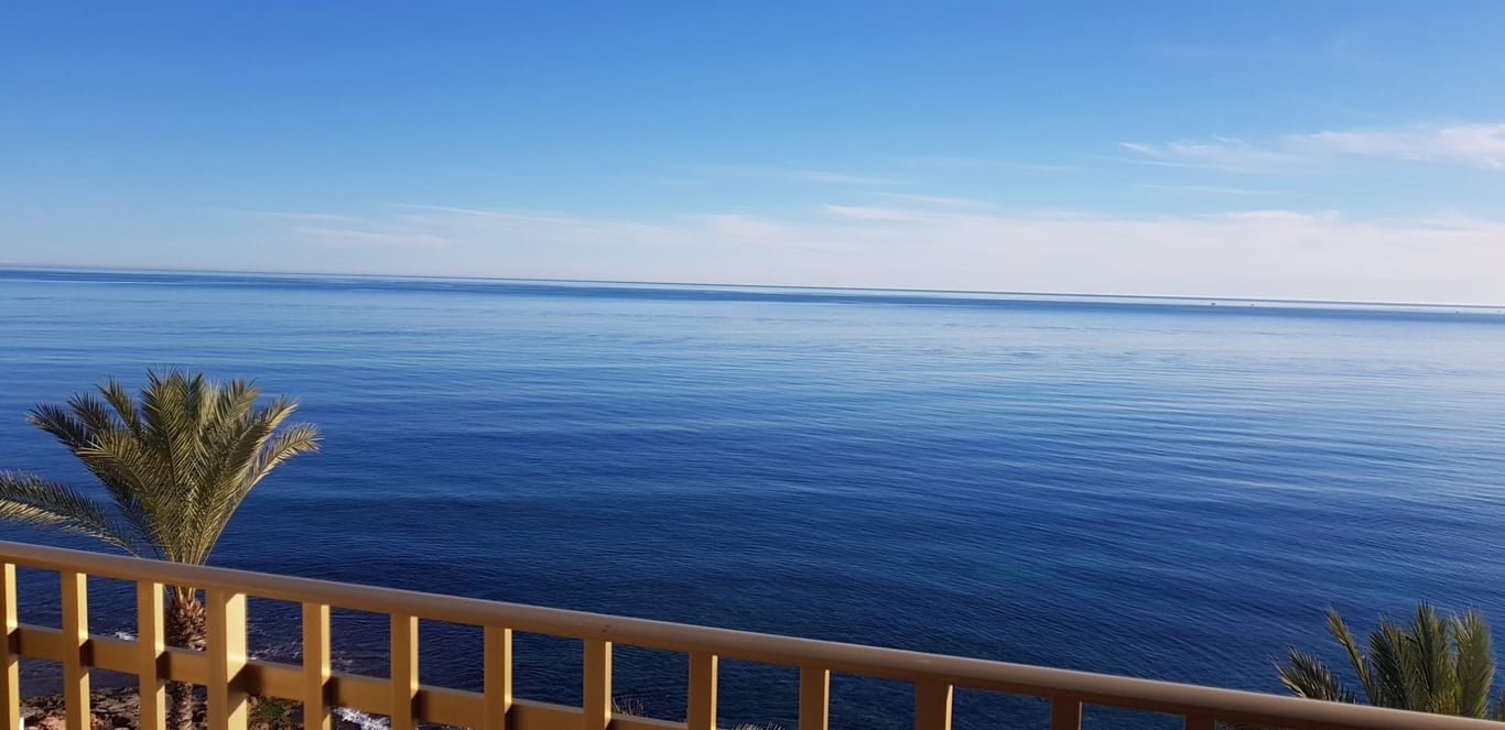 Apartment in Torrevieja - Image 2