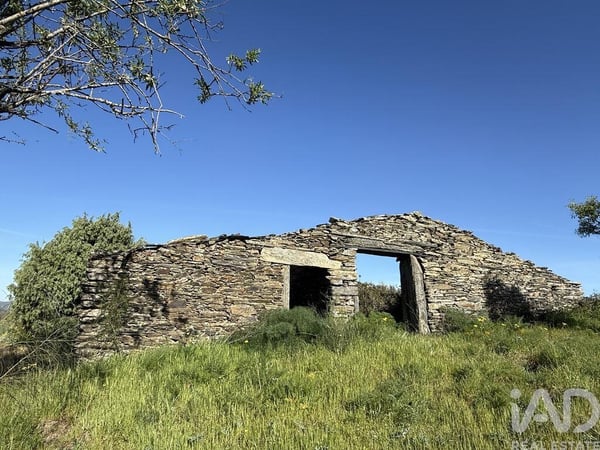 Land in Vila Nova de Foz Coa - view 1
