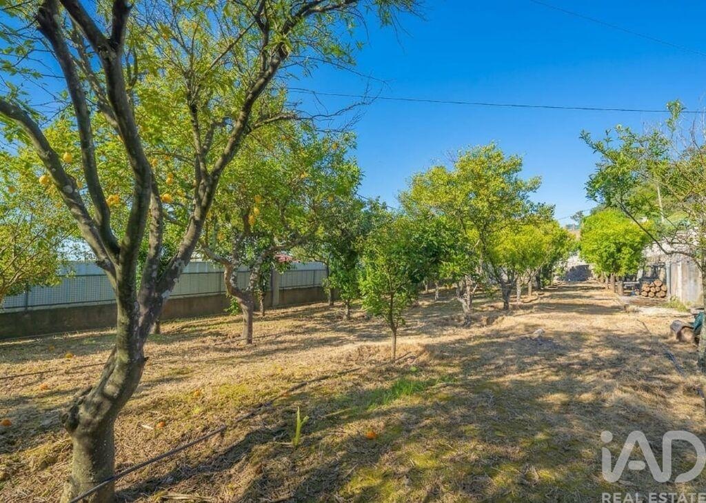 House in Palmela - Image 3