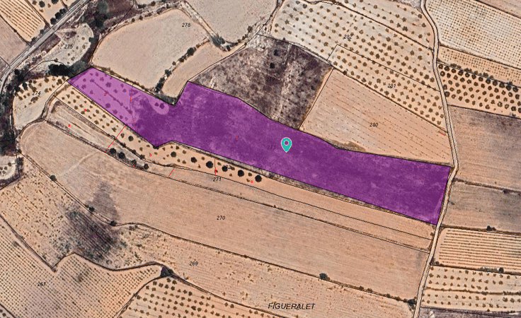 Land in Manar - view 1