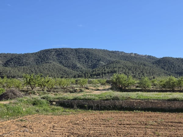 Land in Manar - view 1