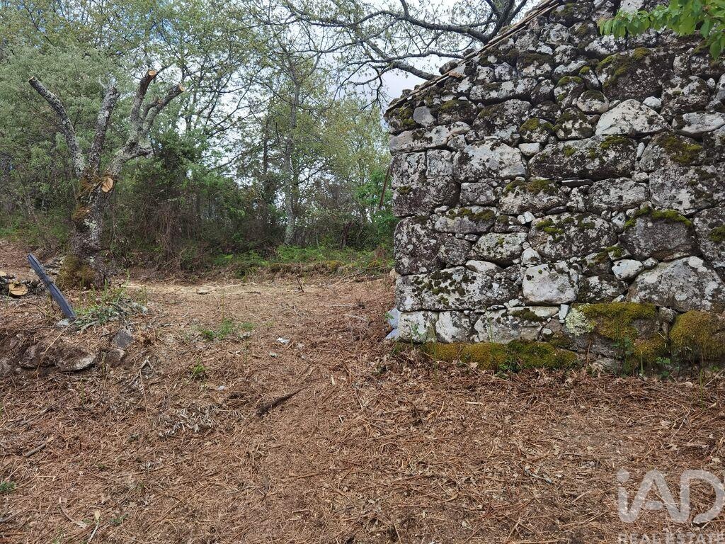 House in Mangualde da Serra - Image 2