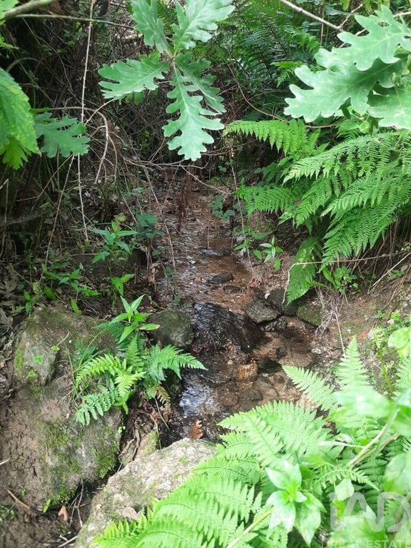 House in Mangualde da Serra - Image 3