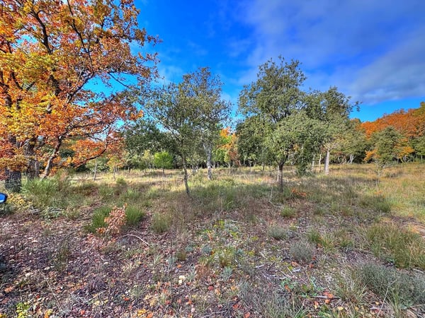 House in Baudinard-sur-Verdon - view 1