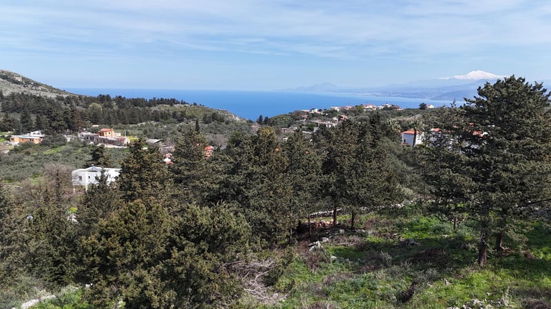 Land in Likotinarea - view 1