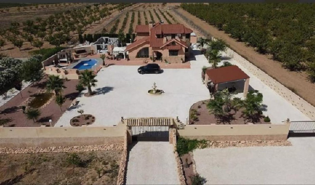 House in Pinoso - Image 3