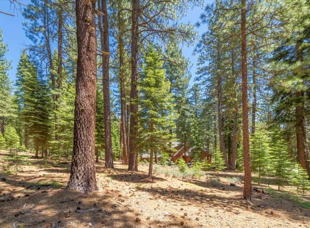 House in Truckee - view 1