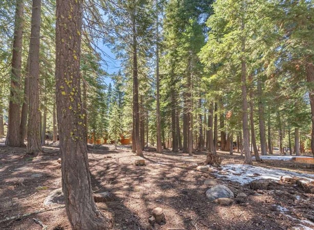 House in Truckee - view 1