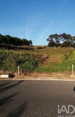 Land in Salir de Matos - view 1