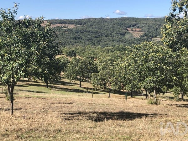 House in Braganca - view 1